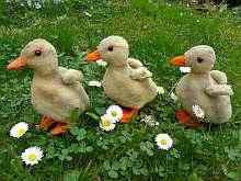 3 original vintage STEIFF young ducks, made about 1949-1958.