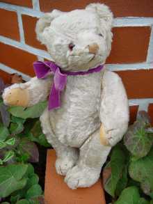 A beautiful vintage German teddy bear, made in the late 1940's.