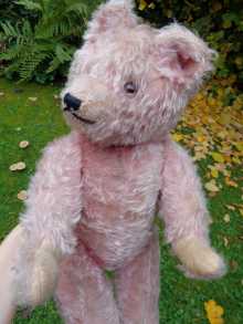 Seltener, alter rosa Teddy, circa 1920er Jahre.